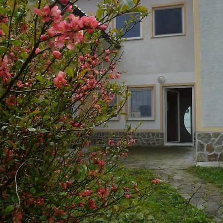 Apartmaji In Sobe Kocjancic Habitación en casa particular
