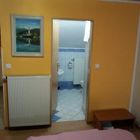 Apartmaji In Sobe Kocjancic Alloggio in famiglia Podcetrtek