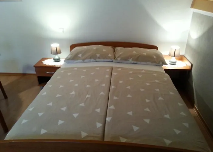 홈스테이 Apartmaji In Sobe Kocjancic 포드체트르테크