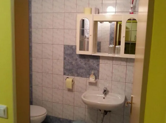 Apartmaji In Sobe Kocjancic * ポドチェトルテク