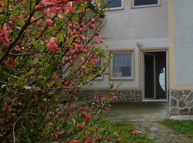 Apartmaji In Sobe Kocjancic בית אירוח