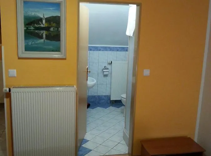 Apartmaji In Sobe Kocjancic בית אירוח פודצ'טרטק