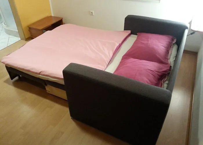 ホームステイ Apartmaji In Sobe Kocjancic ポドチェトルテク