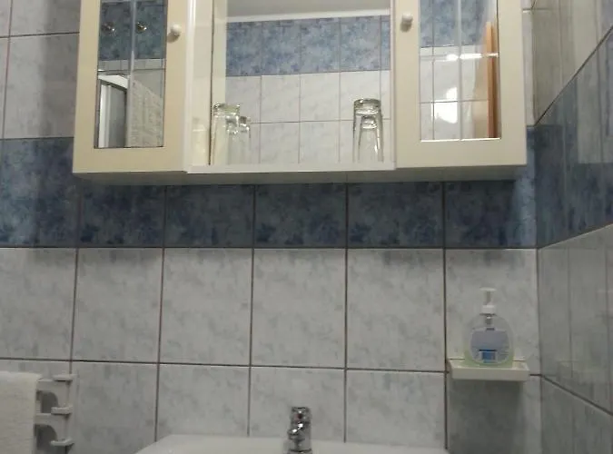 ホームステイ Apartmaji In Sobe Kocjancic ポドチェトルテク