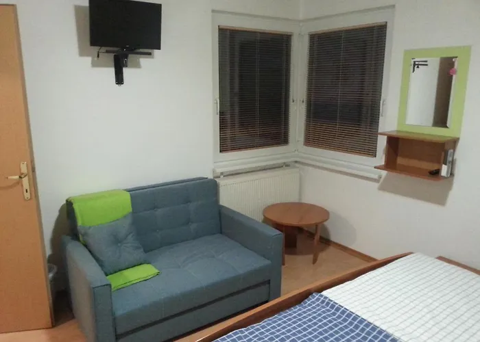 ホームステイ Apartmaji In Sobe Kocjancic *