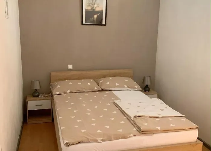 ホームステイ Apartmaji In Sobe Kocjancic *