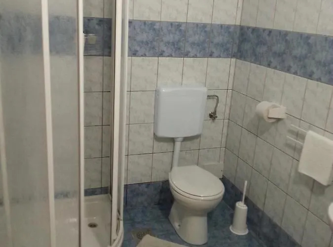 Apartmaji In Sobe Kocjancic ホームステイ ポドチェトルテク