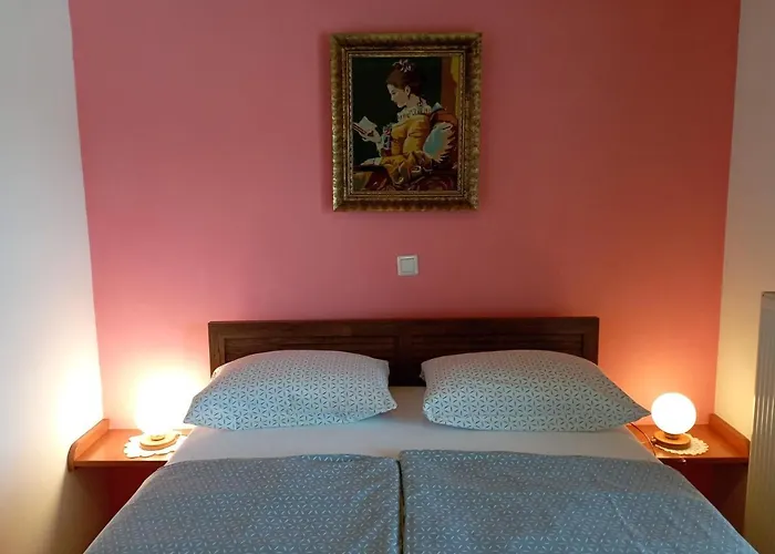 Apartmaji In Sobe Kocjancic ホームステイ *