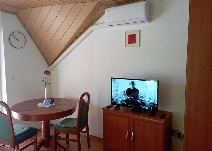 ホームステイ Apartmaji In Sobe Kocjancic ポドチェトルテク