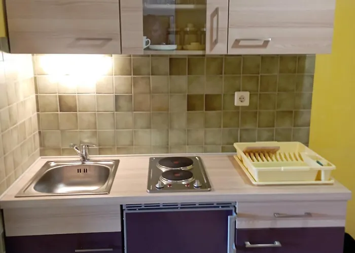 ホームステイ Apartmaji In Sobe Kocjancic