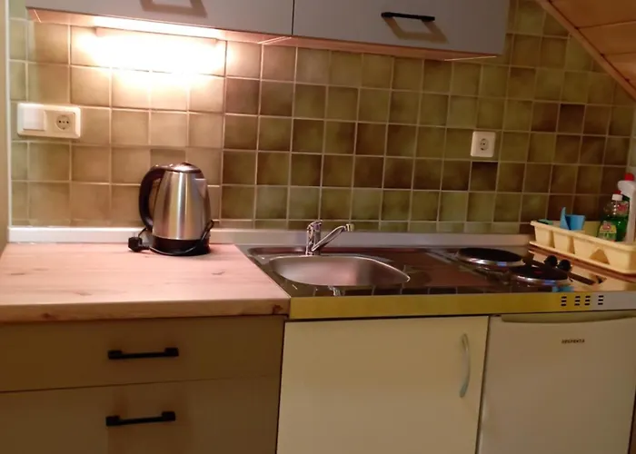 Apartmaji In Sobe Kocjancic ホームステイ